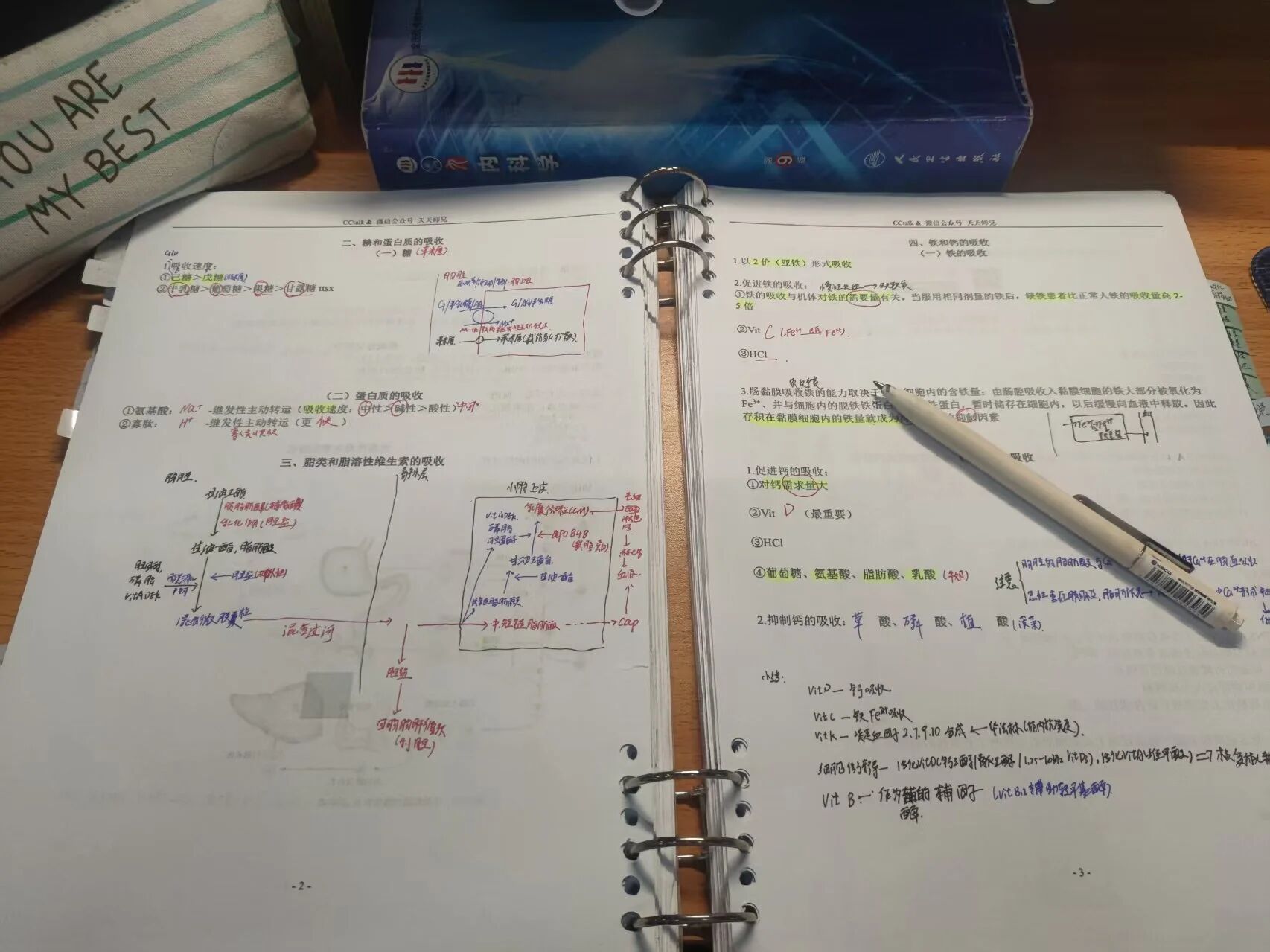 英国上市公司365