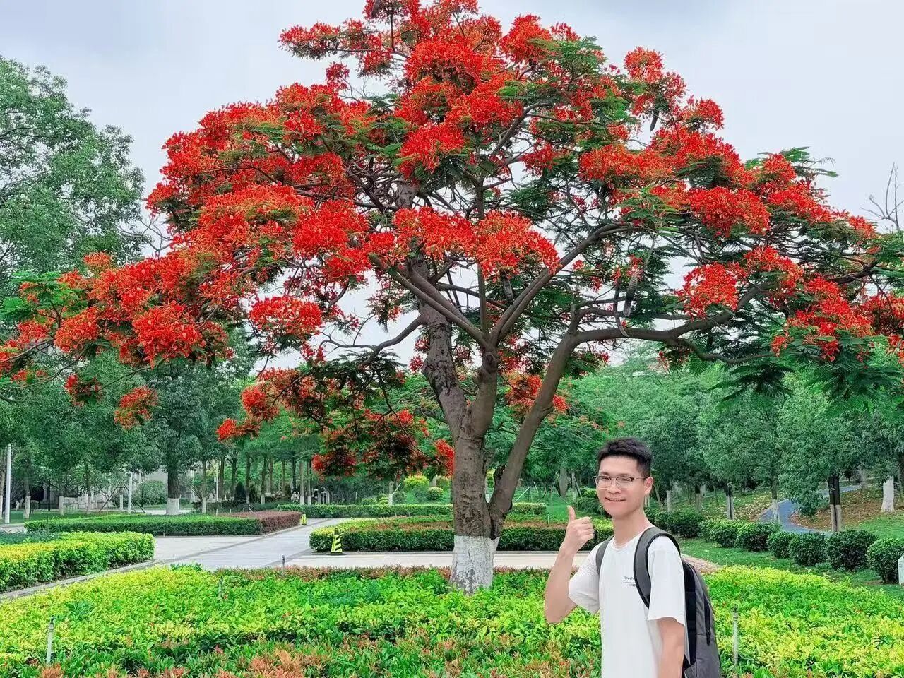 英国上市公司365